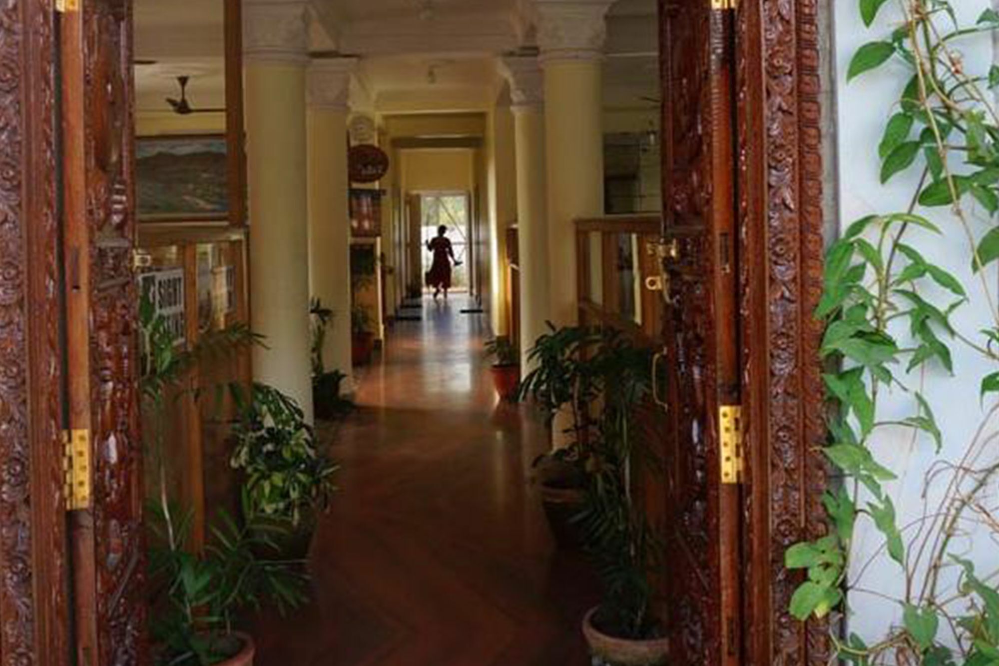 Hotel The Billabong Garden 博卡拉 外观 照片